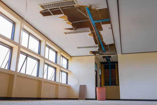 Best Flood restoration services  in South Valley Stream, NY