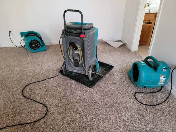 Best Flooded house restoration  in South Valley Stream, NY