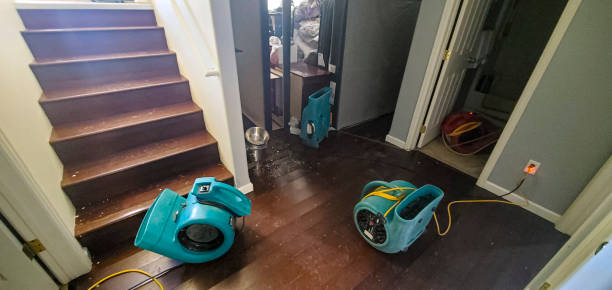  South Valley Stream, NY Water damage restoration Pros