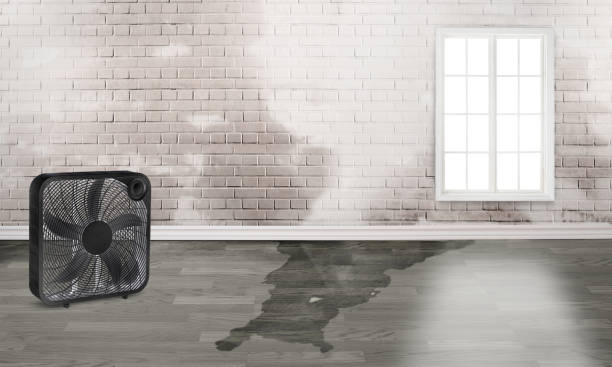 Best Residential water damage restoration  in South Valley Stream, NY