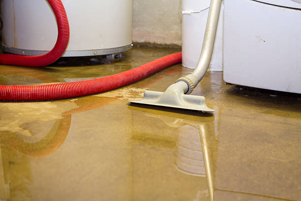 Best Carpet water damage restoration  in South Valley Stream, NY