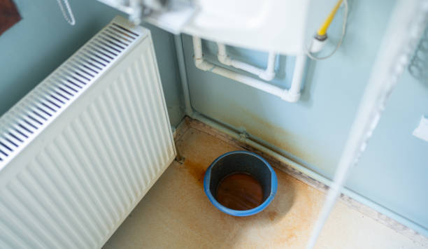 Best Flood damage cleanup  in South Valley Stream, NY